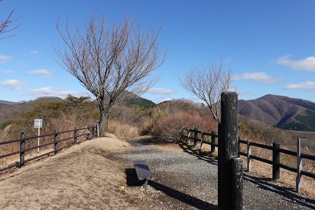 岡山県真庭市の蒜山下徳山 鬼女台