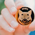 Unveiling the Shiba Inu Coin Price Outlook: Expert Insights and Predictions