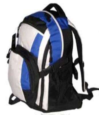 Tas Ransel 2010