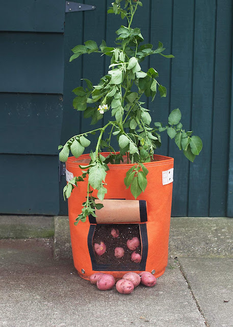 Bloembagz Potato Planter, This Fabric Bag Allows You To Harvest Your Potatoes Beneath The Soil, Without Digging