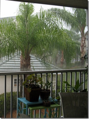 2-2 Rain
