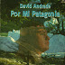 DAVID ANDRADE - POR MI PATAGONIA - 1998