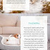   10 Ways To Protect Your Dog In Winter