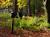Path back to car park 
