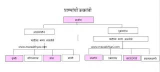 ४.उत्क्रांती स्वाध्याय | उत्क्रांती स्वाध्याय ५वी