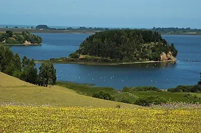 Lago Budi  (Budi Lake), south of Chile.