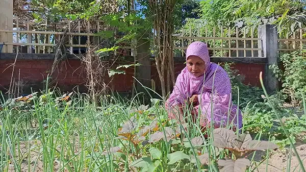 রৌমারী আয়বৃদ্ধিমূলক কর্মকান্ডে বদলে যাচ্ছে চরবাসীর জীবনমান