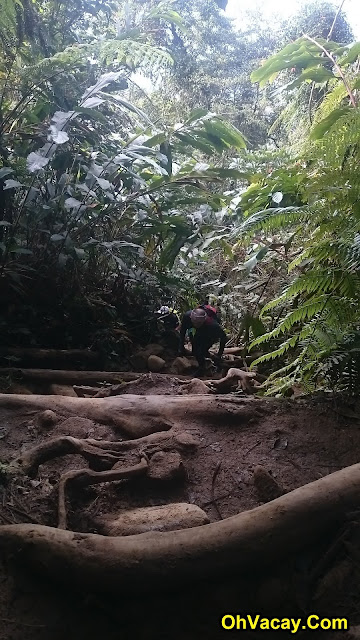 Gunung Nuang