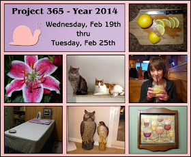 project 365, lilies, photography, scrapbooking, digital scrapbooking