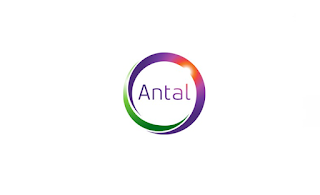 التدريب الصيفي لطلاب الجامعات فى شركة أنتال - Antal International Summer Internship Program 2022