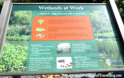 The Wetlands at Wildwood Park in Harrisburg Pennsylvania