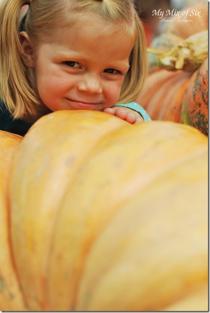 Pumpkin Patch8