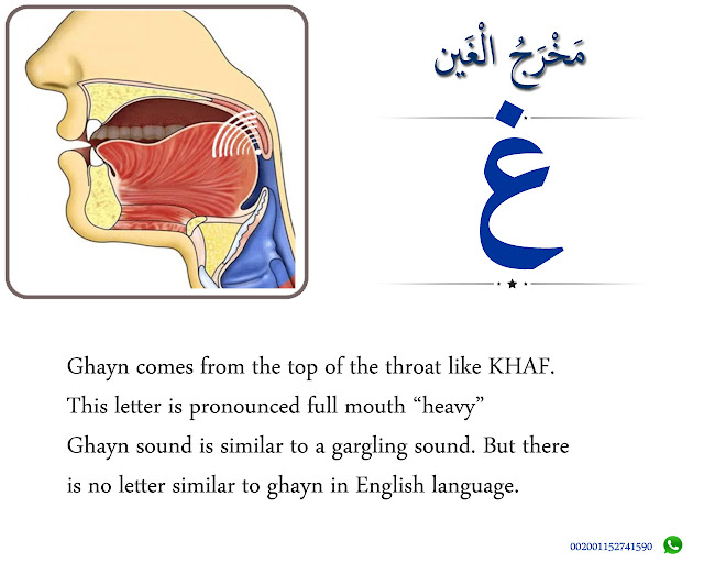 The Articulation Point of Ghayan