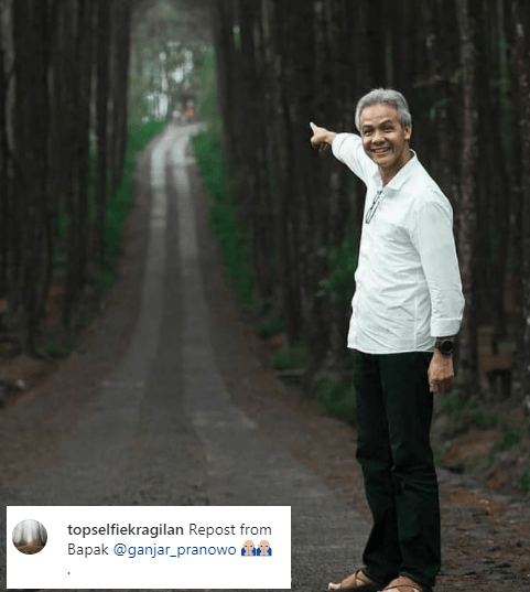 Wisata alam Magelang TOP Selfie Pinusan Kragilan