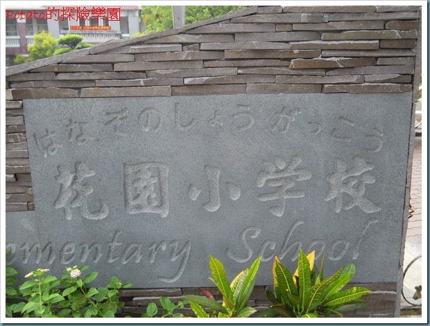 DSCN7682