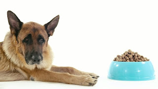 German Shepherd food