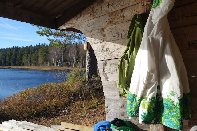 skog sol dalarna tjärn skogstjärn sjö träd myr vass natur mys vindskydd kläder retro