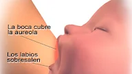 Lactancia Materna Posiciones : Lactancia Materna Mejores Posiciones Para Amantar A Tu Bebe, El bebé ya está aquí, y nos sentimos listas para comenzar con el.
