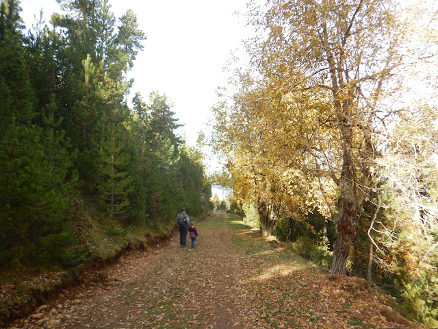 Camí del Bac Gran