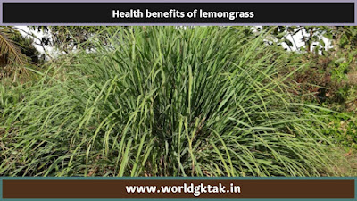 Health benefits of lemongrass