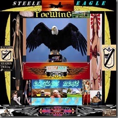 STEELE EAGLE REPORT