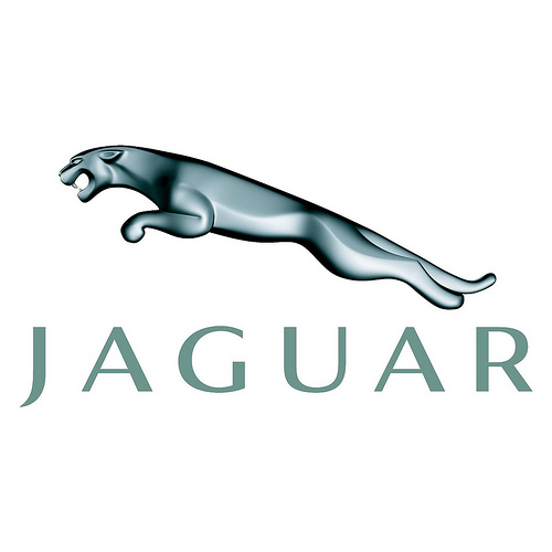 Tabela Aplica o Xenon Jaguar fotos logo Jaguar papel de parede