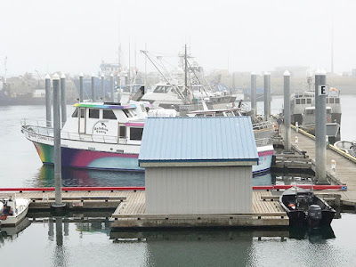 Our Tour Boat – Rainbow Tours