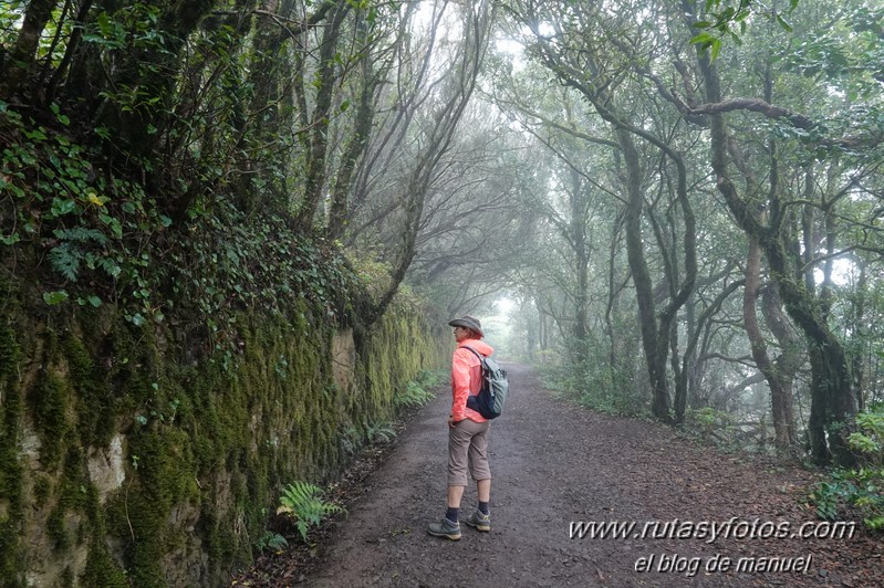 Sendero de los Sentidos - Sendero de los Enigmas