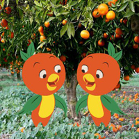 G2R Twin Orange Birds Escape