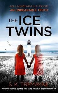 https://www.goodreads.com/book/show/23553419-the-ice-twins