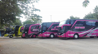 harga sewa bus pariwisata di semarang