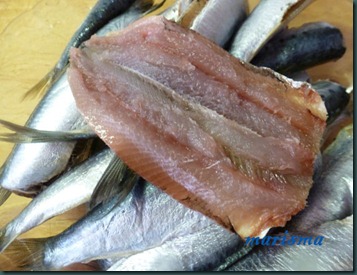 sardinas rebozadas4 copia