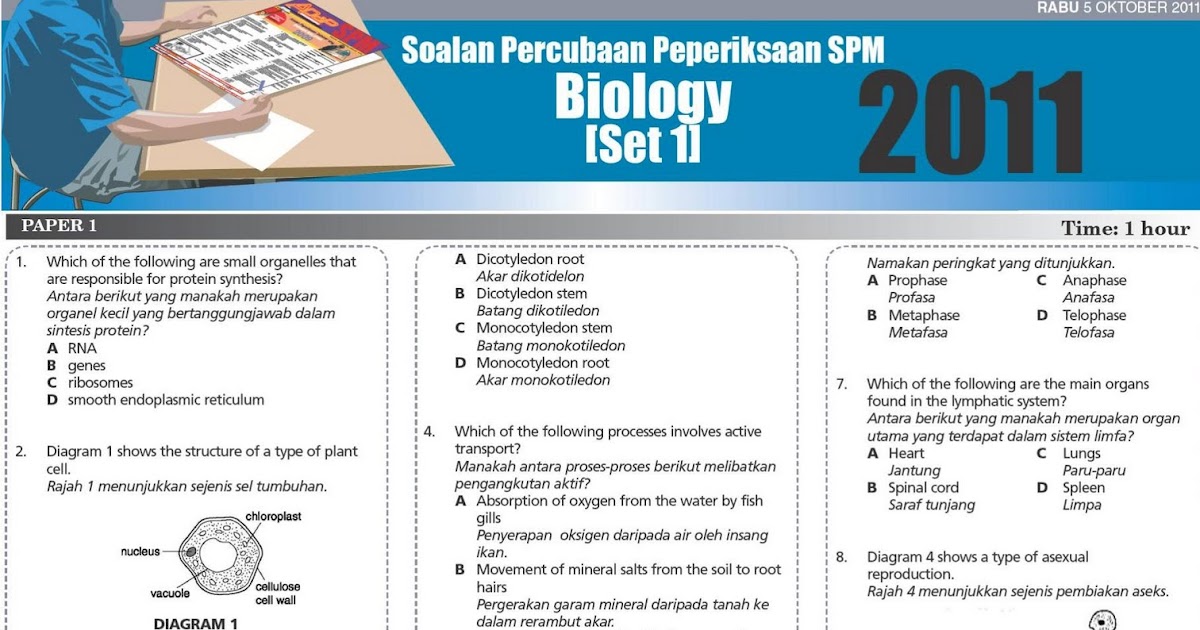 Koleksi soalan: Biologi Trial SPM Utusan