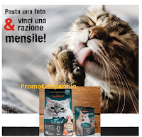 Logo Vinci gratis una razione mensile di cibo per gatti
