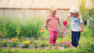 Selama Pandemi Manfaatkan Berkebun untuk Anak-Anak