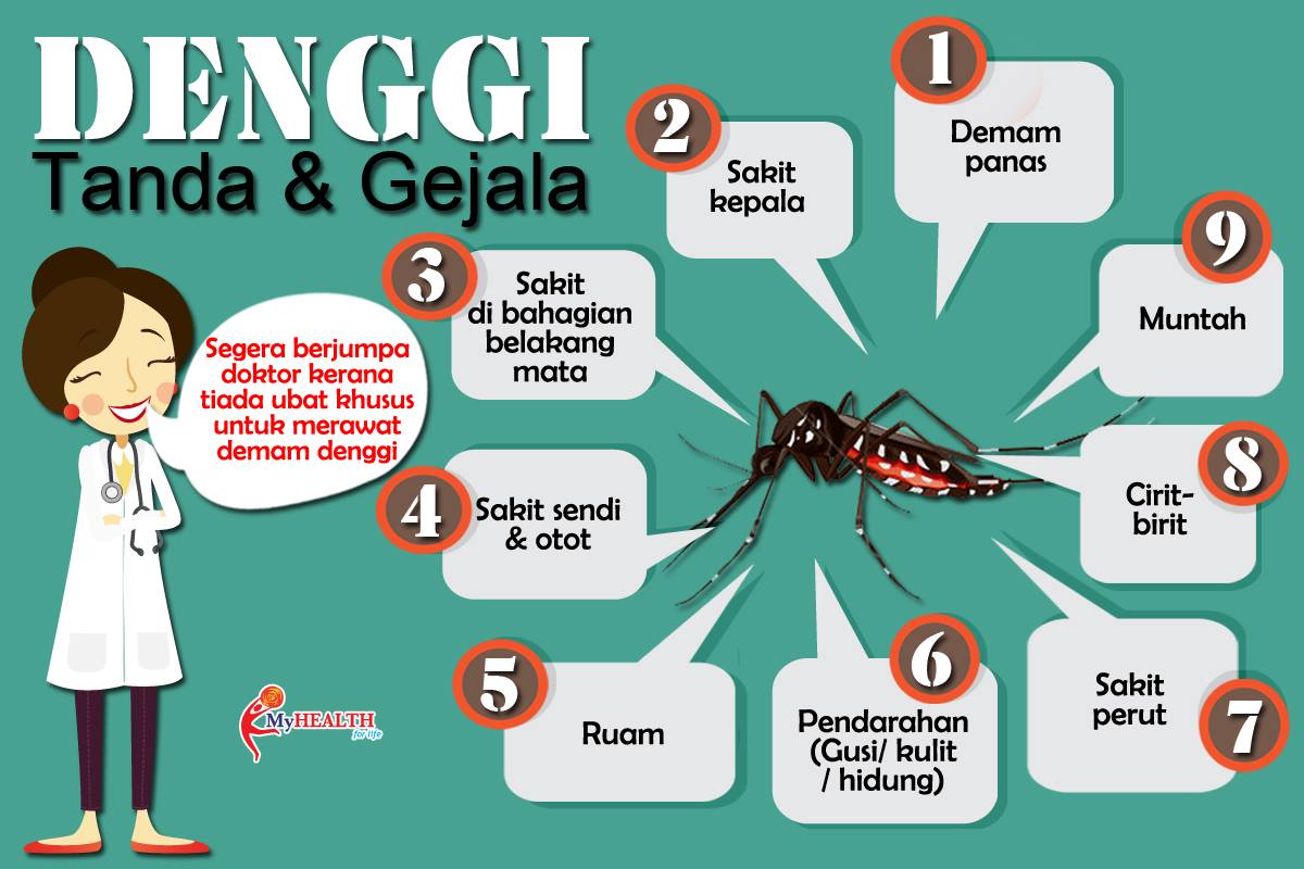 TANDA-TANDA DAN GEJALA DENGGI - Sharing My Ceritera