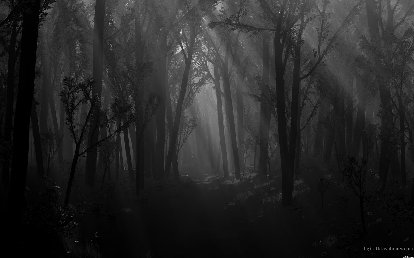 1305670599 black trees dark forest path shadows spooky monochrome wallpaper wallpaper