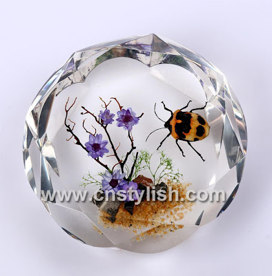 Amber Crafts Paper Weights