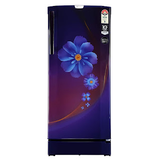 Godrej 210 L 5 Star ( 2019 ) Inverter Direct-Cool Single Door Refrigerator (RD EPRO 225 TAI 5.2 RAY PRP, Ray Purple) 