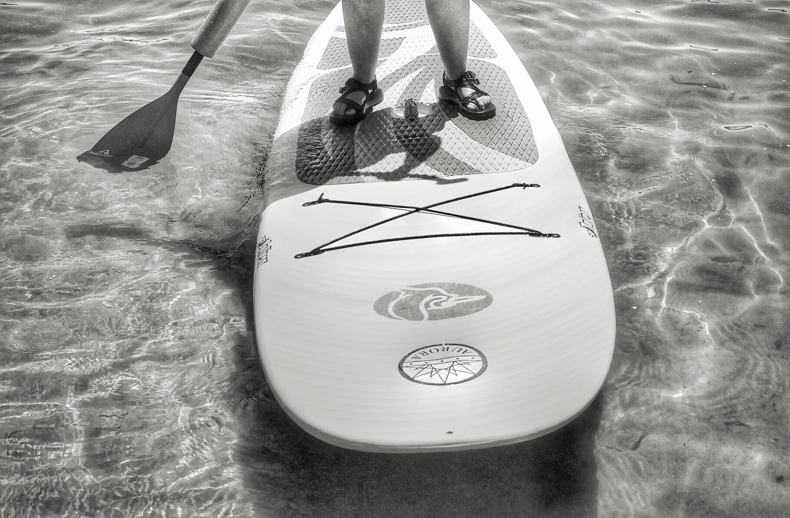 Top Places to Stand Up Paddleboard in Colorado RMHP Blog
