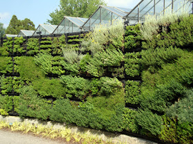 Wall of Herbs in the Edible Garden at the Atlanta Botanical Garden