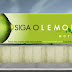 MOTEL LEMON CONTRATA