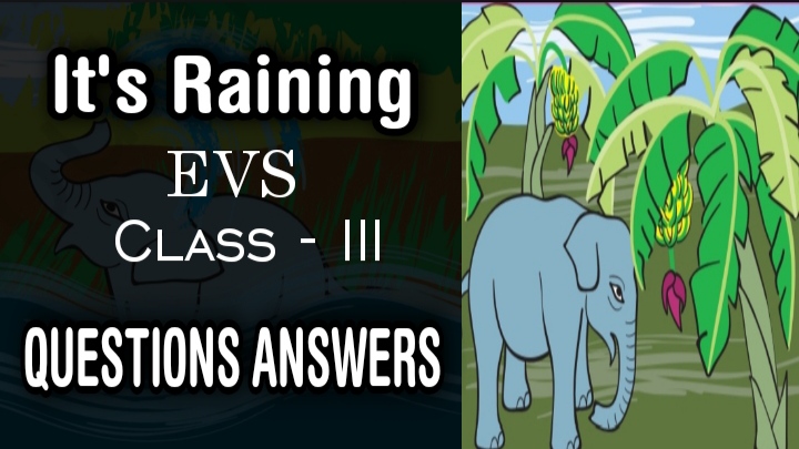 It's Raining class 3 EVS chapter 9 Questions Answers