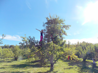 Girl in an apple tree