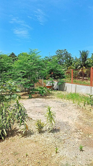 House and Lot for sale in San Remigio Cebu!