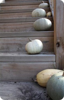 IMG_0303 (Small)