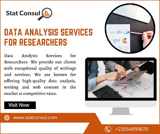 Data Analysis Services for Researchers