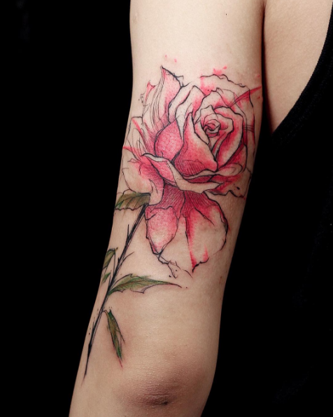 esta_linda_rosa