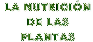 http://capitaneducacion.blogspot.com.es/2017/11/3-primaria-ciencias-de-la-naturaleza_55.html