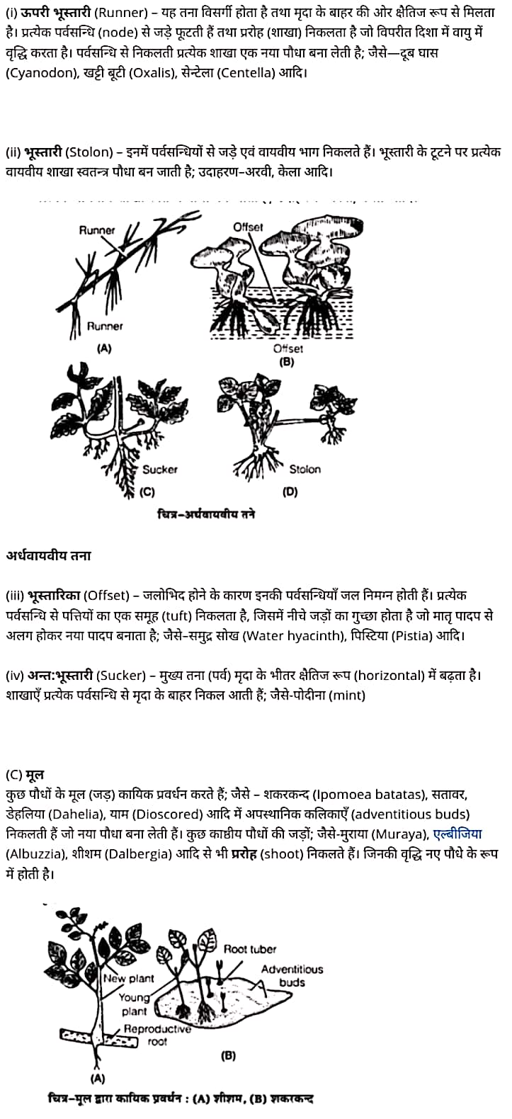 class 12   Biology   Chapter 1,  class 12   Biology   Chapter 1 ncert solutions in hindi,  class 12   Biology   Chapter 1 notes in hindi,  class 12   Biology   Chapter 1 question answer,  class 12   Biology   Chapter 1 notes,  12   class Biology   Chapter 1 in hindi,  class 12   Biology   Chapter 1 in hindi,  class 12   Biology   Chapter 1 important questions in hindi,  class 12   Biology    notes in hindi,   class 12   Biology   Chapter 1 test,  class 12   Biology   Chapter 1 pdf,  class 12   Biology   Chapter 1 notes pdf,  class 12   Biology   Chapter 1 exercise solutions,  class 12   Biology   Chapter 1, class 12   Biology   Chapter 1 notes study rankers,  class 12   Biology   Chapter 1 notes,  class 12   Biology   notes,   Biology    class 12   notes pdf,  Biology   class 12   notes 2021 ncert,  Biology   class 12   pdf,  Biology    book,  Biology   quiz class 12  ,   12  th Biology    book up board,  up board 12  th Biology   notes,   कक्षा 12   जीव विज्ञान  अध्याय 1,  कक्षा 12   जीव विज्ञान  का अध्याय 1 ncert solution in hindi,  कक्षा 12   जीव विज्ञान  के अध्याय 1 के नोट्स हिंदी में,  कक्षा 12   का जीव विज्ञान  अध्याय 1 का प्रश्न उत्तर,  कक्षा 12   जीव विज्ञान  अध्याय 1 के नोट्स,  12   कक्षा जीव विज्ञान  अध्याय 1 हिंदी में,  कक्षा 12   जीव विज्ञान  अध्याय 1 हिंदी में,  कक्षा 12   जीव विज्ञान  अध्याय 1 महत्वपूर्ण प्रश्न हिंदी में,  कक्षा 12   के जीव विज्ञान  के नोट्स हिंदी में,  जीव विज्ञान  कक्षा 12   नोट्स pdf,  जीव विज्ञान  कक्षा 12   नोट्स 2021 ncert,  जीव विज्ञान  कक्षा 12   pdf,  जीव विज्ञान  पुस्तक,  जीव विज्ञान  की बुक,  जीव विज्ञान  प्रश्नोत्तरी class 12  , 12   वीं जीव विज्ञान  पुस्तक up board,  बिहार बोर्ड 12  पुस्तक वीं जीव विज्ञान  नोट्स,      12th Biology    book in hindi, 12  th Biology    notes in hindi, cbse books for class 12  , cbse books in hindi, cbse ncert books, class 12   Biology   notes in hindi,  class 12   hindi ncert solutions, Biology   2020, Biology   2021, Biology   2022, Biology   book class 12  , Biology    book in hindi, Biology   class 12   in hindi, Biology   notes for class 12   up board in hindi, ncert all books, ncert app in hindi, ncert book solution, ncert books class 10, ncert books class 12  , ncert books for class 7, ncert books for upsc in hindi, ncert books in hindi class 10, ncert books in hindi for class 12 Biology  , ncert books in hindi for class 6, ncert books in hindi pdf, ncert class 12 hindi book, ncert english book, ncert Biology    book in hindi, ncert Biology    books in hindi pdf, ncert Biology  class 12  ,   ncert in hindi,  old ncert books in hindi, online ncert books in hindi,  up board 12  th, up board 12  th syllabus, up board class 10 hindi book, up board class 12   books, up board class 12   new syllabus, up board intermediate Biology    syllabus, up board intermediate syllabus 2021, Up board Master 2021, up board model paper 2021, up board model paper all subject, up board new syllabus of class 12  th Biology  ,   12 वीं जीव विज्ञान   पुस्तक हिंदी में, 12  वीं भौतिक विज्ञान  नोट्स हिंदी में, कक्षा 12   के लिए सीबीएससी पुस्तकें, कक्षा 12   जीव विज्ञान  नोट्स हिंदी में, कक्षा 12   हिंदी एनसीईआरटी समाधान,  जीव विज्ञान  बुक इन हिंदी, भौतिक विज्ञान  क्लास 12   हिंदी में,  एनसीईआरटी भौतिक विज्ञान  की किताब हिंदी में,  बोर्ड 12 वीं तक, 12 वीं तक की पाठ्यक्रम, बोर्ड कक्षा 10 की हिंदी पुस्तक , बोर्ड की कक्षा 12   की किताबें, बोर्ड की कक्षा 12 की नई पाठ्यक्रम, बोर्ड जीव विज्ञान  2020, यूपी   बोर्ड जीव विज्ञान  2021, यूपी  बोर्ड जीव विज्ञान  2022, यूपी  बोर्ड भौतिक विज्ञान  2023, यूपी  बोर्ड इंटरमीडिएट भौतिक विज्ञान  सिलेबस, यूपी  बोर्ड इंटरमीडिएट सिलेबस 2021, यूपी  बोर्ड मास्टर 2021, यूपी  बोर्ड मॉडल पेपर 2021, यूपी  मॉडल पेपर सभी विषय, यूपी  बोर्ड न्यू क्लास का सिलेबस  12   वीं भौतिक विज्ञान, अप बोर्ड पेपर 2021, यूपी बोर्ड सिलेबस 2021, यूपी बोर्ड सिलेबस 2022,